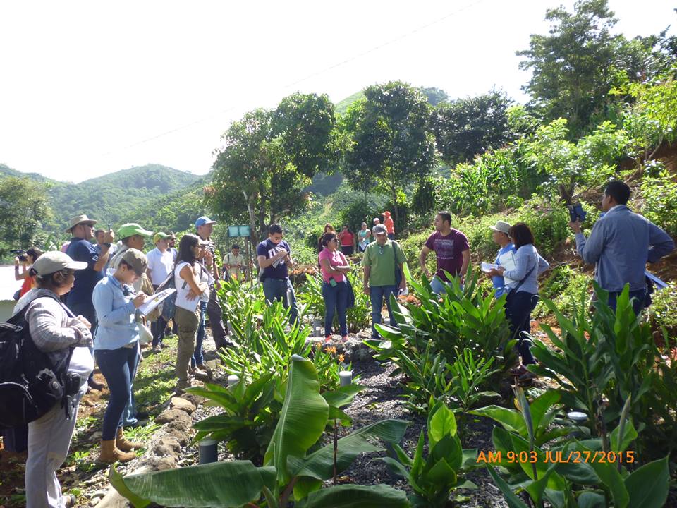 Participación Ciudadana en las Contribuciones Nacionales de Cambio Climático NDCs