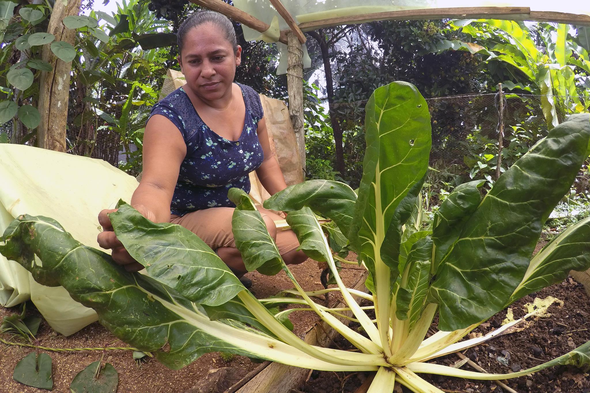 Emprendimientos amigables con el ambiente en Costa Rica